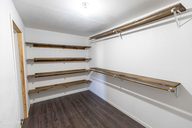 spacious closet featuring dark hardwood / wood-style flooring