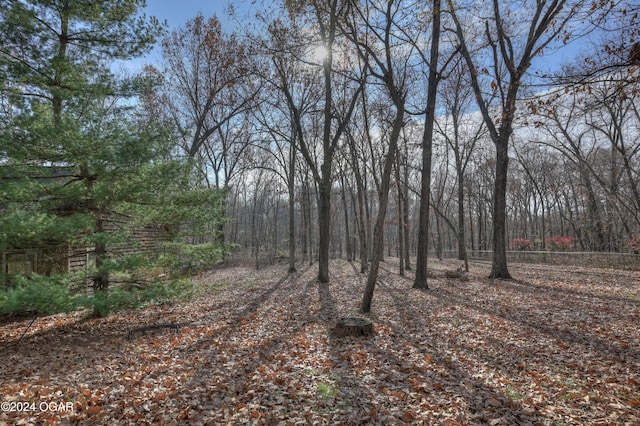 5623 Rivercrest Valley Dr, Joplin, MO 64804 - view of tree filled area