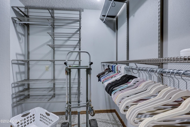 5623 Rivercrest Valley Dr, Joplin, MO 64804 - view of spacious closet