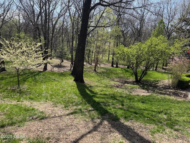 5623 Rivercrest Valley Dr, Joplin, MO 64804 - view of grassy yard