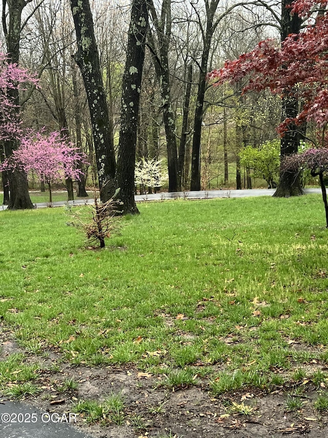 5623 Rivercrest Valley Dr, Joplin, MO 64804 - view of green lawn