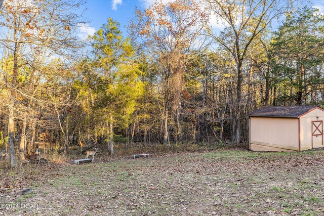 view of yard with a storage shed