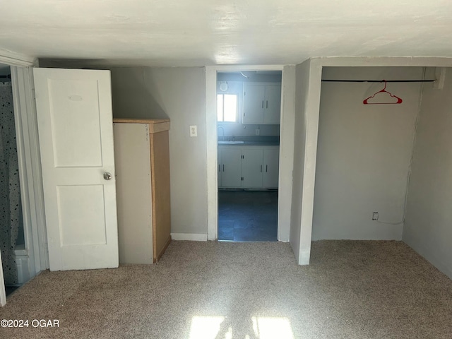 interior space featuring carpet flooring and sink