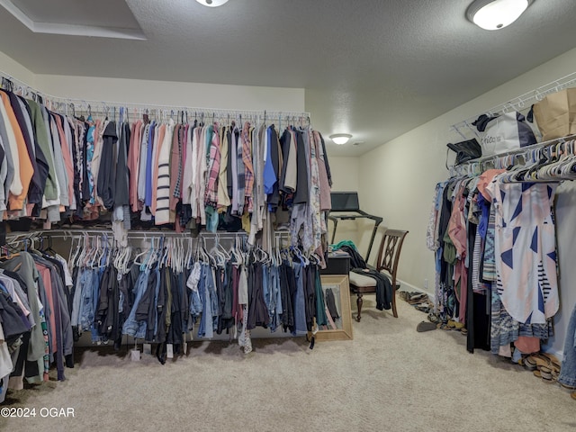 spacious closet featuring carpet floors