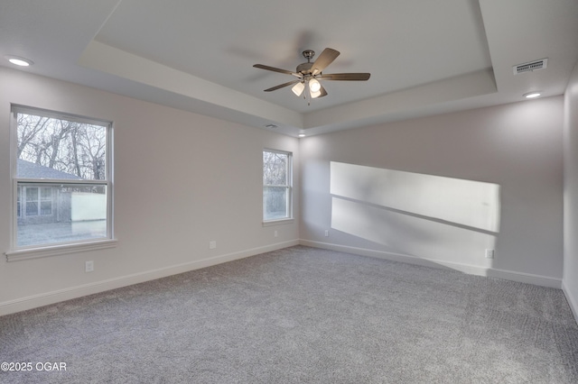 unfurnished room with a wealth of natural light, carpet, and a raised ceiling