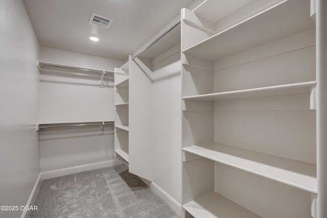 spacious closet featuring carpet