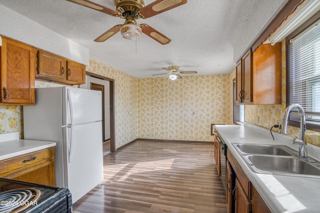 kitchen with dishwasher, sink, dark hardwood / wood-style floors, ceiling fan, and a textured ceiling