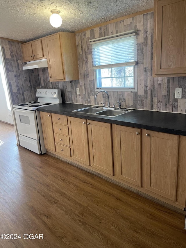 kitchen with a textured ceiling, dark wood-type flooring, sink, electric range, and wood walls