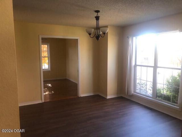 unfurnished room featuring a textured ceiling, dark wood-type flooring, and a wealth of natural light