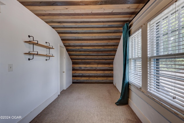 bonus room featuring light carpet, plenty of natural light, and lofted ceiling