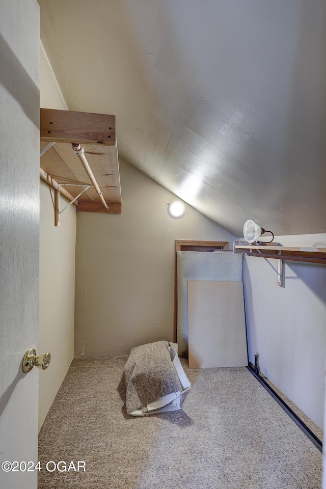 walk in closet featuring carpet floors and lofted ceiling