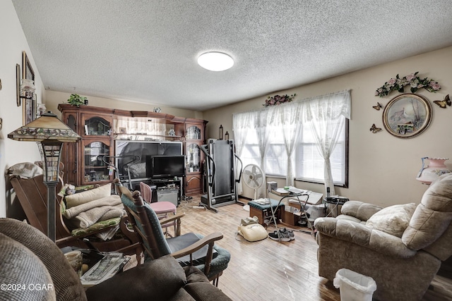 living room featuring light hardwood / wood-style floors and a textured ceiling