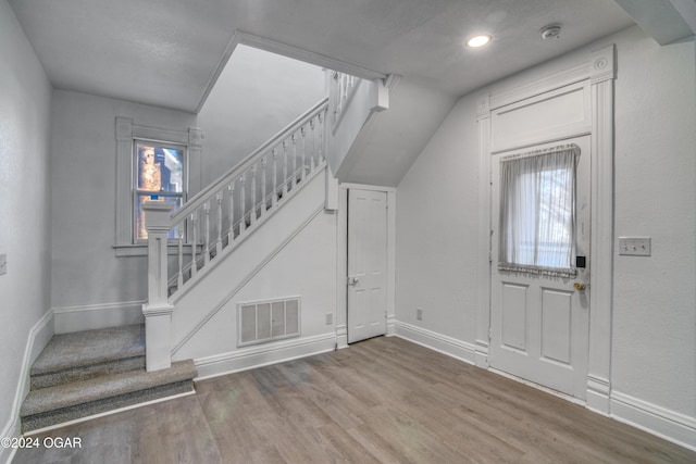 entryway featuring plenty of natural light and wood-type flooring