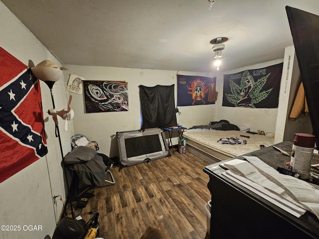 bedroom with dark hardwood / wood-style flooring