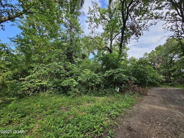 20AC Jesse James Rd, Pineville, MO 64856 - photo 6
