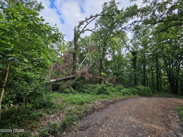 20AC Jesse James Rd, Pineville, MO 64856 - photo 5