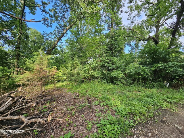 20AC Jesse James Rd, Pineville, MO 64856 - photo 4
