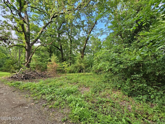 20AC Jesse James Rd, Pineville, MO 64856 - photo 3
