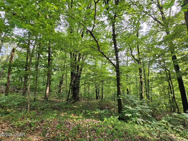 20AC Jesse James Rd, Pineville, MO 64856 - photo 1