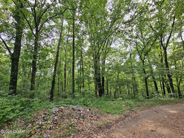20AC Jesse James Rd, Pineville, MO 64856 - photo 7