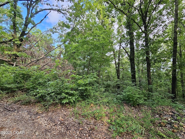 20AC Jesse James Rd, Pineville, MO 64856 - photo 8