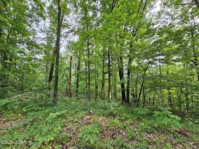 20AC Jesse James Rd, Pineville, MO 64856 - photo 9