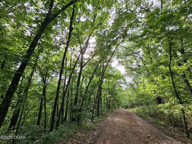 20AC Jesse James Rd, Pineville, MO 64856 - photo 2
