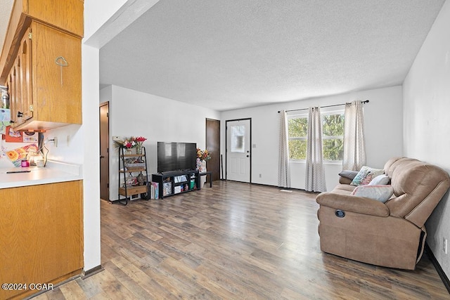 living room featuring dark hardwood / wood-style flooring and a textured ceiling