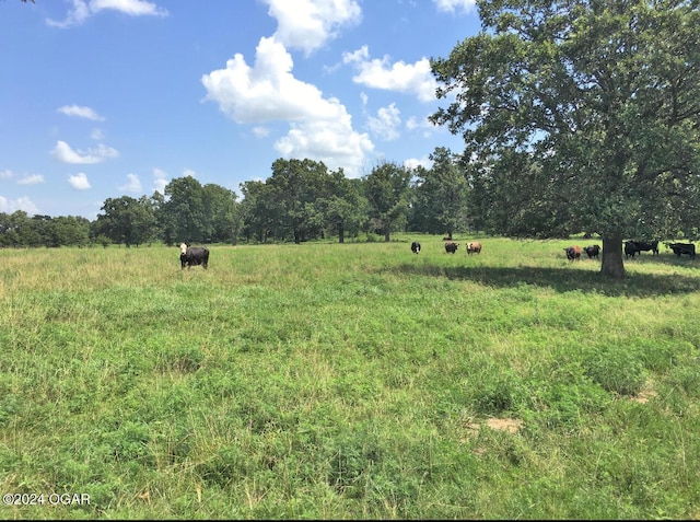 TBD Highway E, Granby, MO 64844