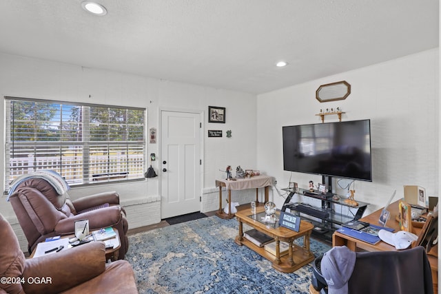 living room with a textured ceiling and hardwood / wood-style flooring