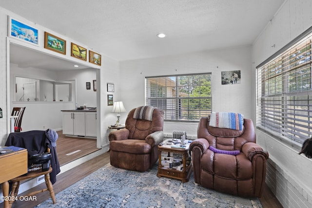 living room with a textured ceiling and hardwood / wood-style flooring