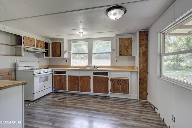 kitchen with hardwood / wood-style flooring, plenty of natural light, white range with gas stovetop, and sink