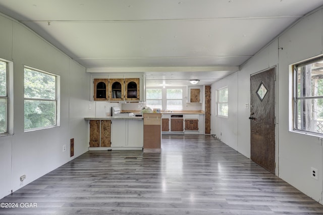 kitchen featuring kitchen peninsula, light hardwood / wood-style flooring, and a healthy amount of sunlight