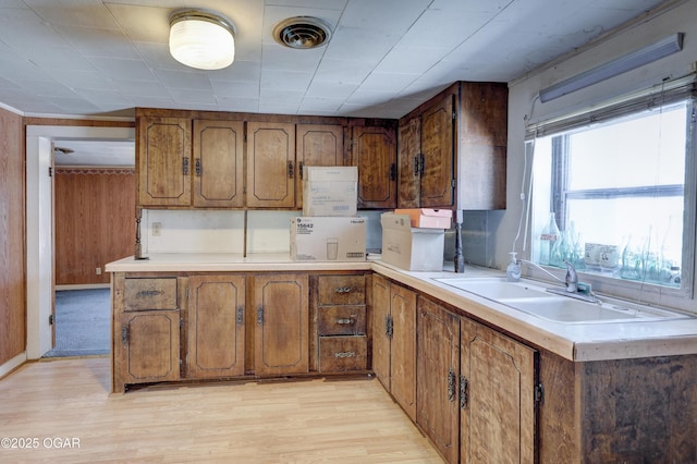 kitchen featuring wood walls, light wood-type flooring, and sink