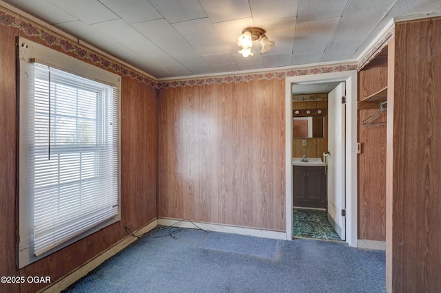 carpeted empty room featuring wood walls and sink