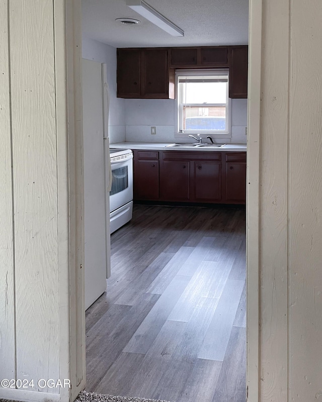 kitchen featuring dark brown cabinetry, sink, hardwood / wood-style floors, and white appliances