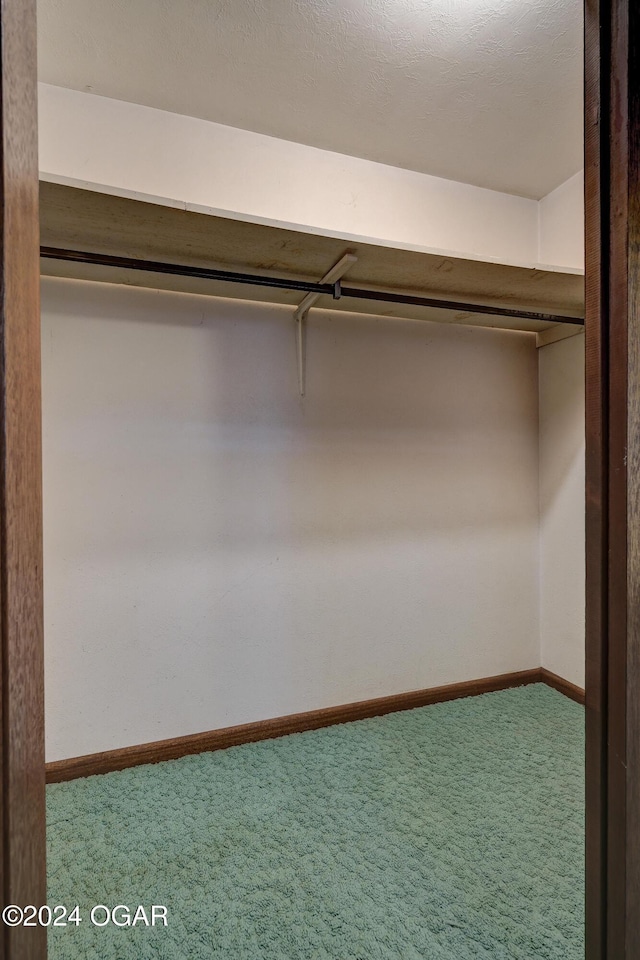 walk in closet with carpet flooring