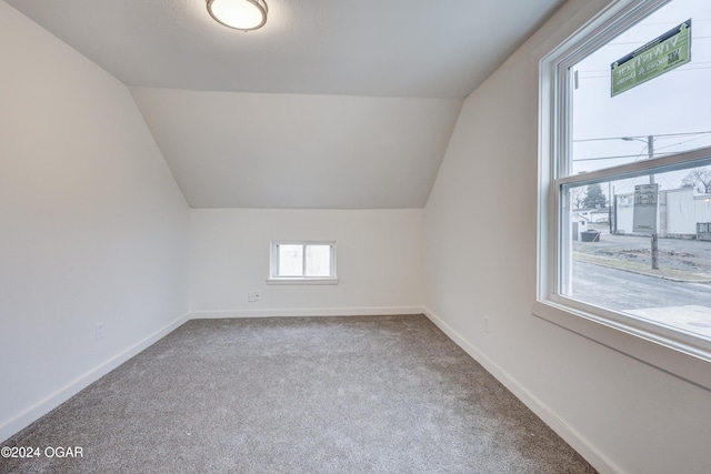 additional living space featuring a healthy amount of sunlight, carpet floors, and lofted ceiling