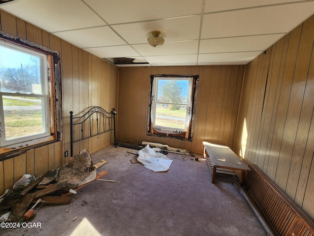 118 S Oak St, Mulberry, KS 66756 - miscellaneous room with carpet and a paneled ceiling