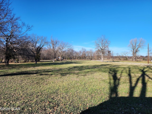 118 S Oak St, Mulberry, KS 66756 - view of yard