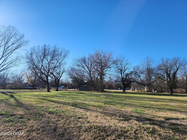 118 S Oak St, Mulberry, KS 66756 - view of yard