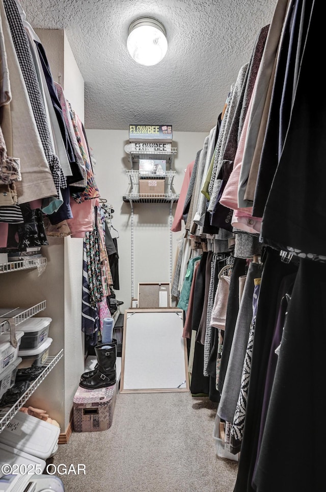 spacious closet with carpet floors