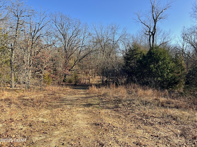 2431 Schermerhorn Rd, Galena, KS 66739 - photo 6