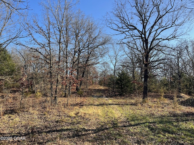 2431 Schermerhorn Rd, Galena, KS 66739 - photo 7