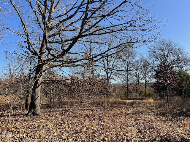 2431 Schermerhorn Rd, Galena, KS 66739 - photo 8