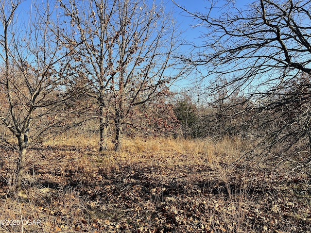 2431 Schermerhorn Rd, Galena, KS 66739 - photo 15