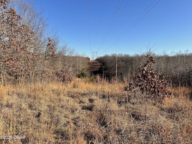 2431 Schermerhorn Rd, Galena, KS 66739 - photo 17