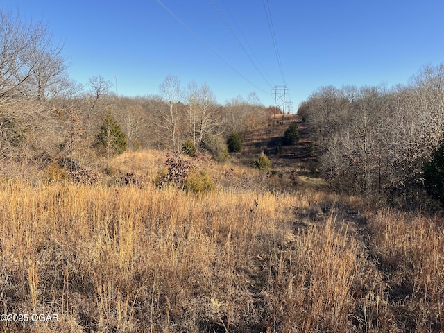 2431 Schermerhorn Rd, Galena, KS 66739 - photo 18