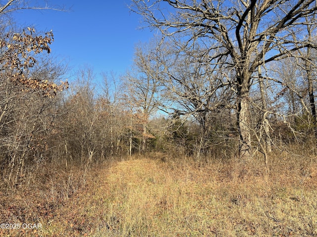 2431 Schermerhorn Rd, Galena, KS 66739 - photo 22