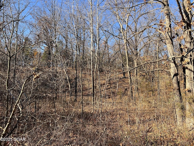 2431 Schermerhorn Rd, Galena, KS 66739 - photo 24